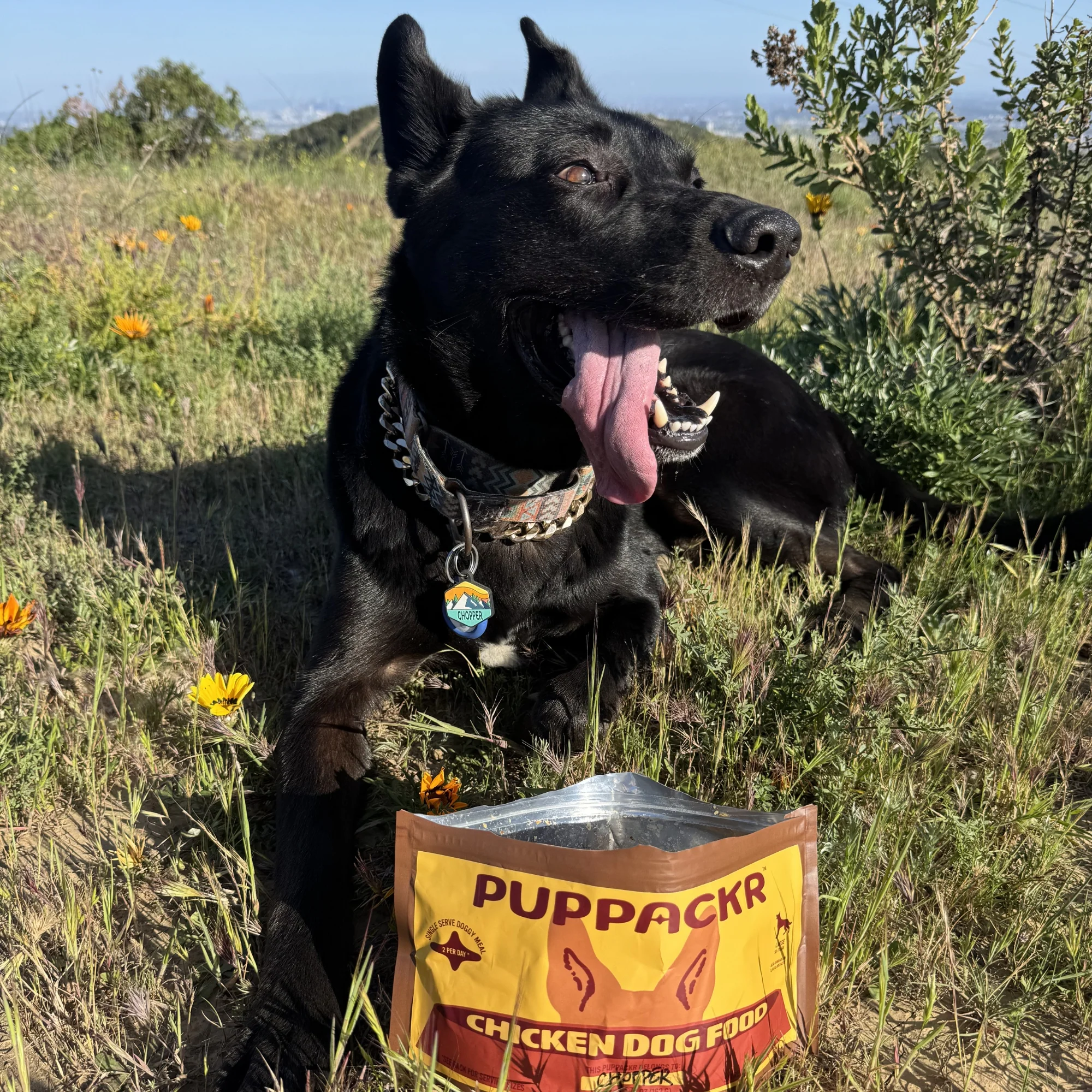 Chicken Dog Food by PUPPACKR - Image 2